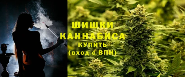 spice Богданович