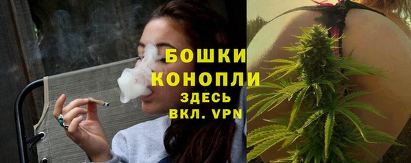 прущие грибы Богородск