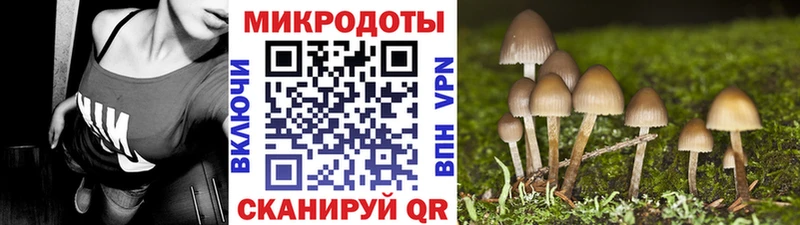 Псилоцибиновые грибы мухоморы  Белая Калитва 